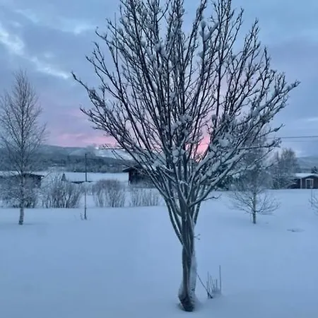 Kullero Apartment Levi