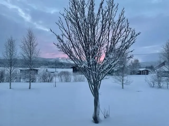 Kullero Appartement Levi